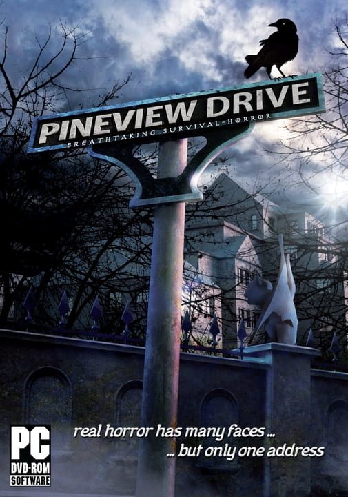 Pineview Drive | levelseven