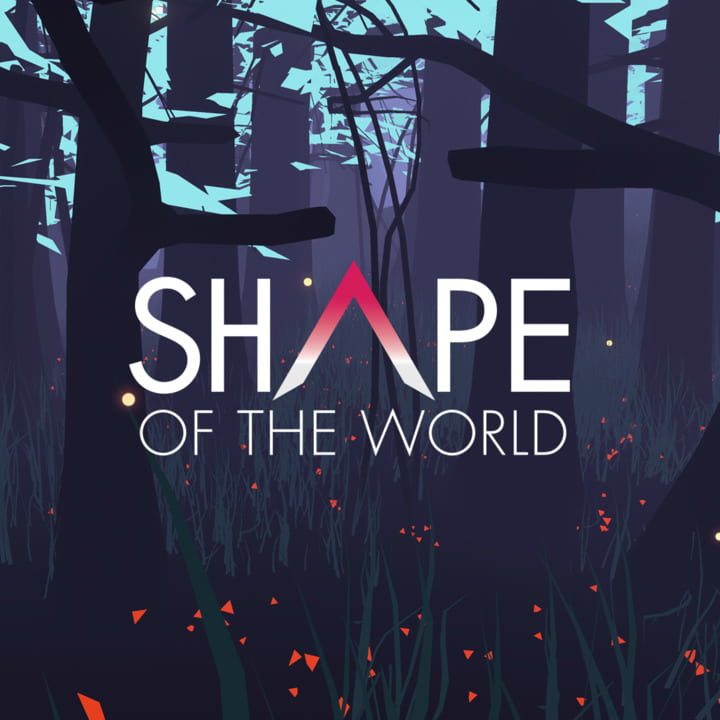 Shape of the World | levelseven