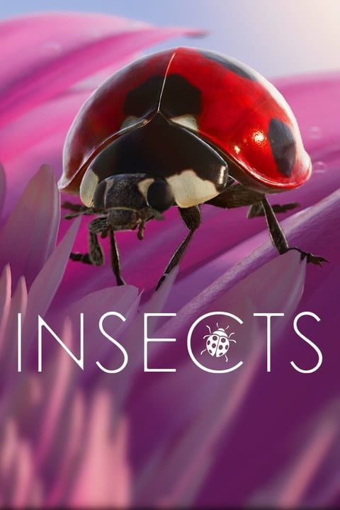 Insects: An Xbox One X Enhanced Experience | levelseven