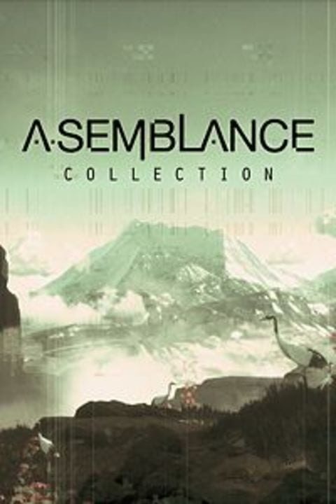 Asemblance Collection | levelseven